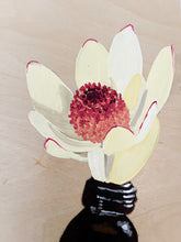 Load image into Gallery viewer, Sundance