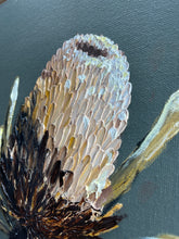 Load image into Gallery viewer, Banksia #15.