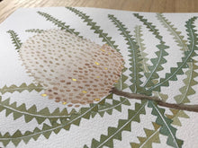 Load image into Gallery viewer, Banksia Hookeriana