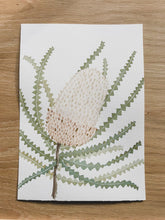 Load image into Gallery viewer, Banksia Hookeriana