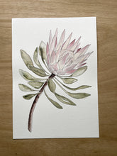 Load image into Gallery viewer, King Protea