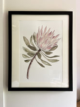 Load image into Gallery viewer, King Protea