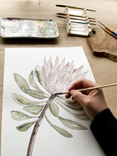 Load image into Gallery viewer, King Protea